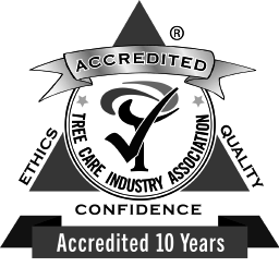 TCIA Accredited Logo