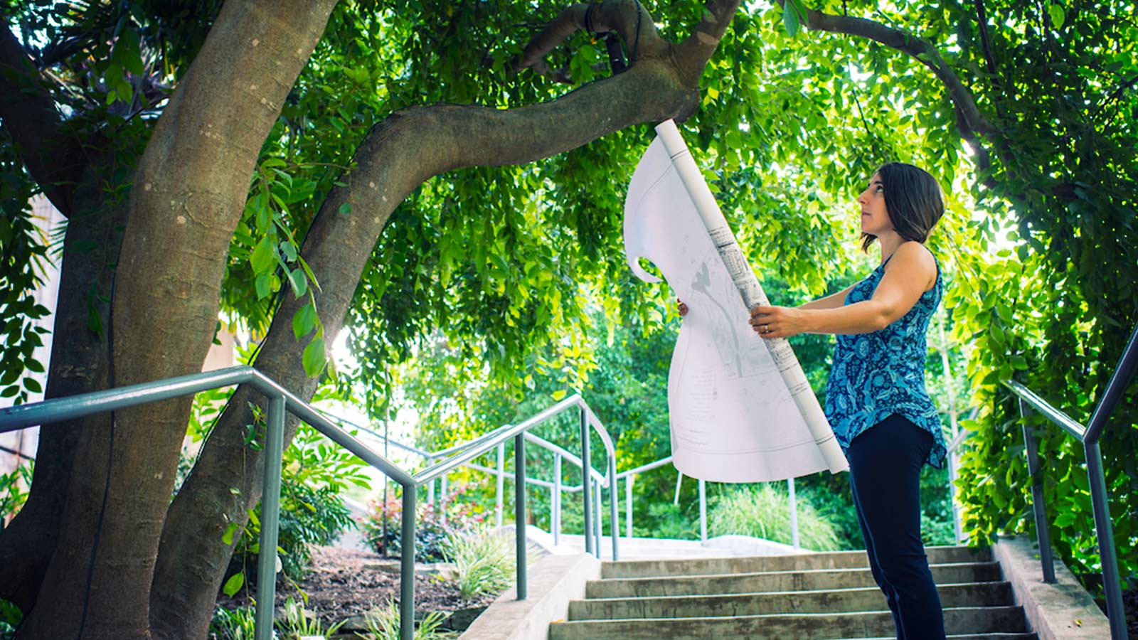 Certified arborist examining tree health and providing consultation.