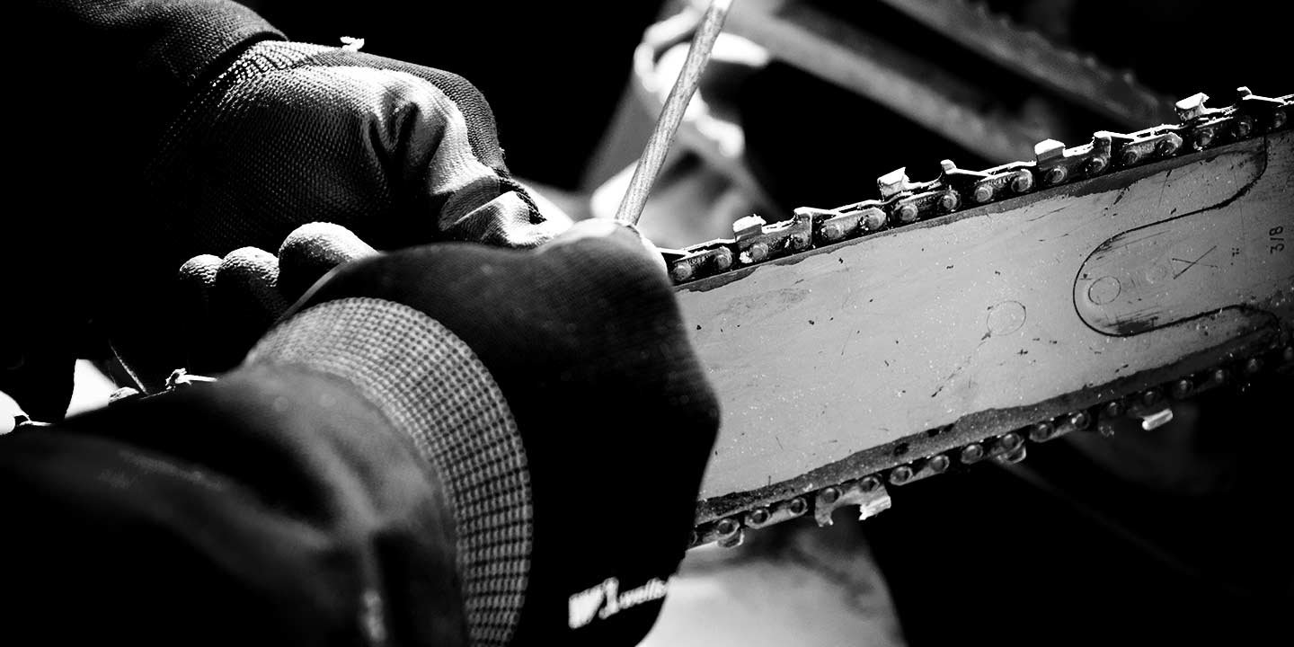 Tree care specialist checking a chainsaw for safety