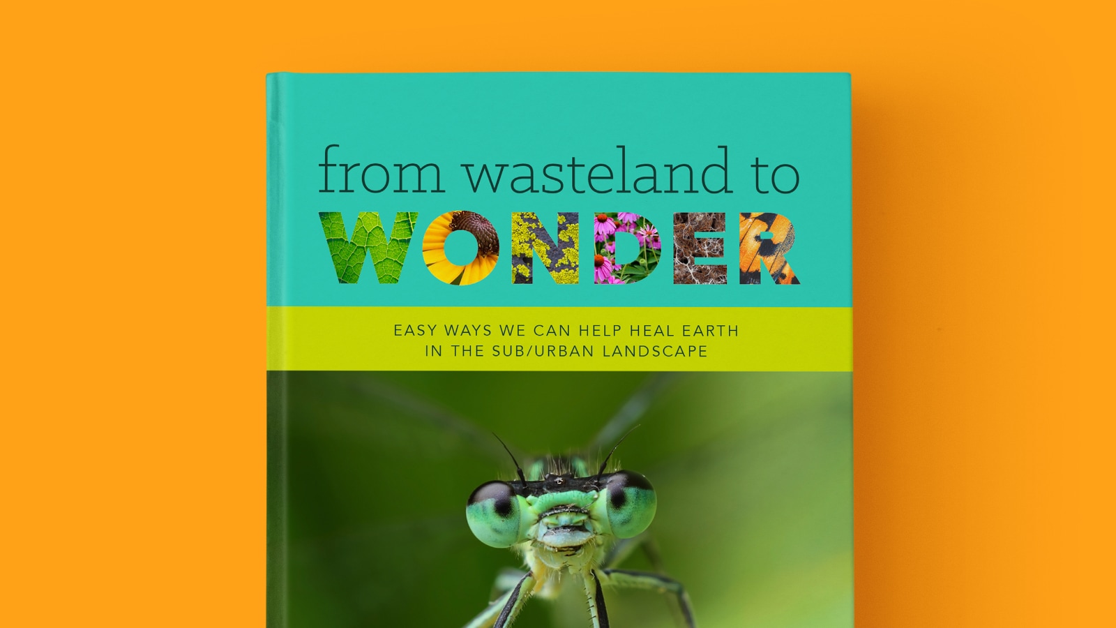 The cover of From Wasteland to Wonder book by Basil Camu.