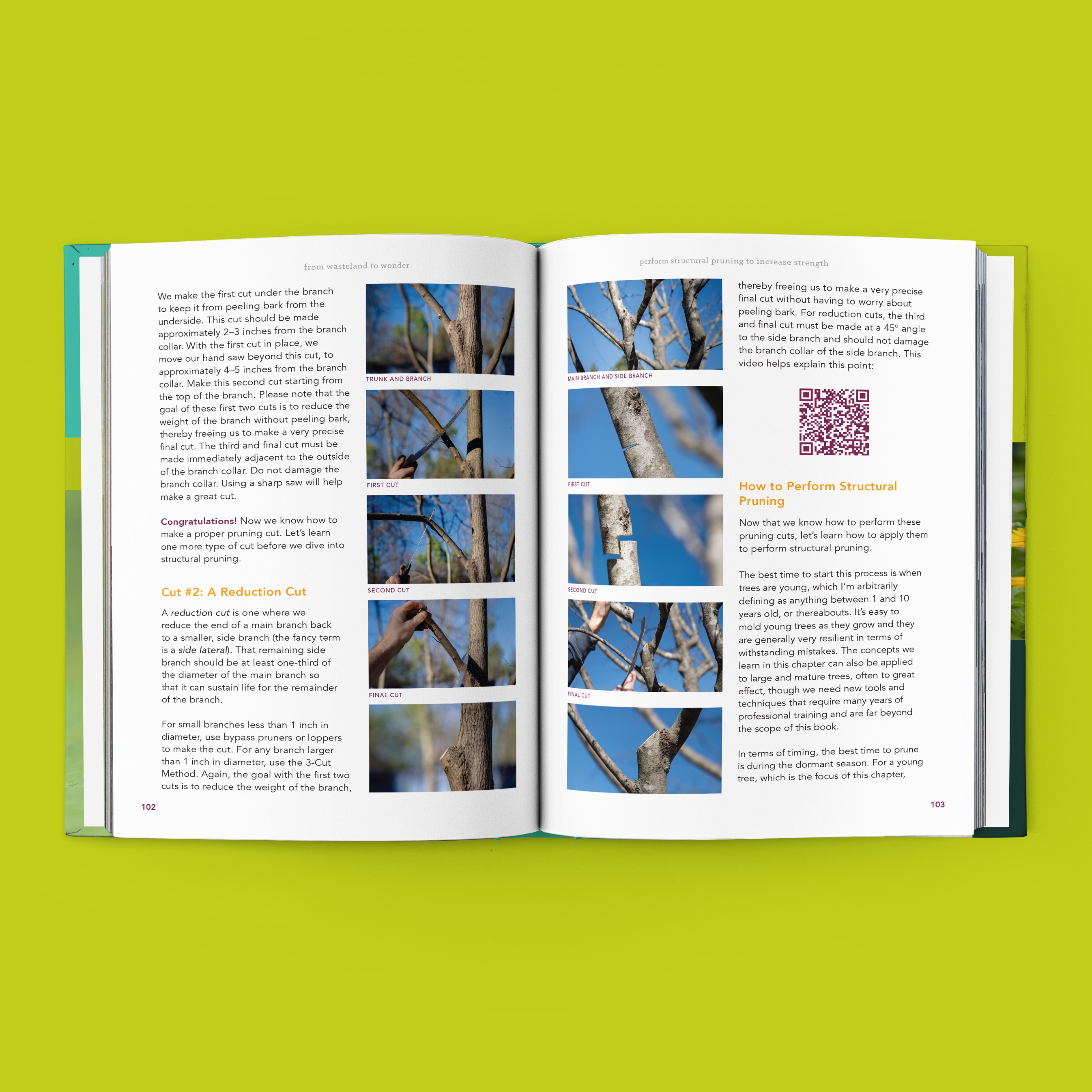 From Wasteland to Wonder book preview, featuring instructions on how to perform structural pruning on trees