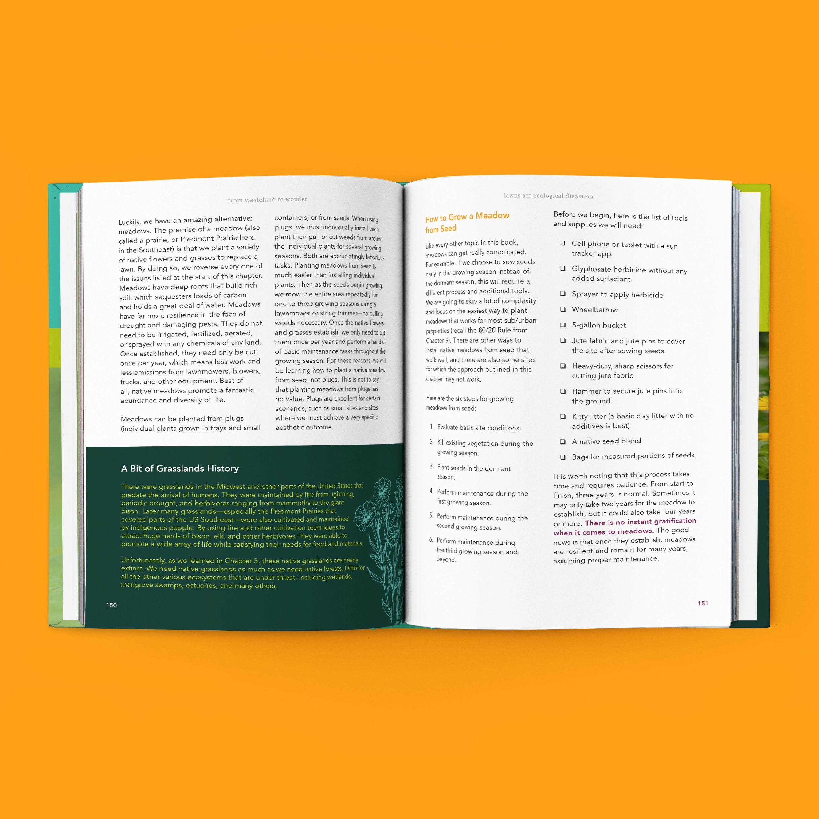 From Wasteland to Wonder book preview, featuring content on meadows, how to grow meadows from seed, and the history of grasslands in the United States