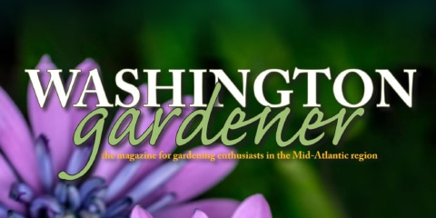 Washington Gardener Magazine