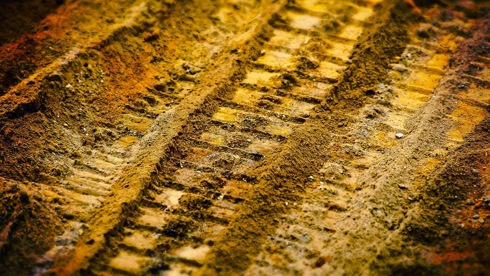 Soil decompaction process for healthy tree roots