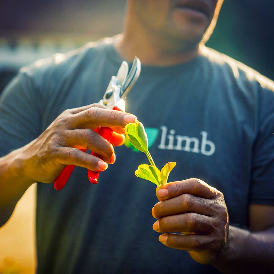 Menu background showing services section