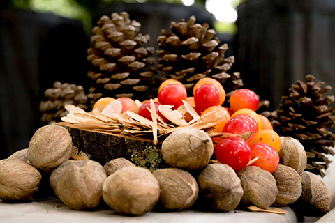 Community Seed Collection