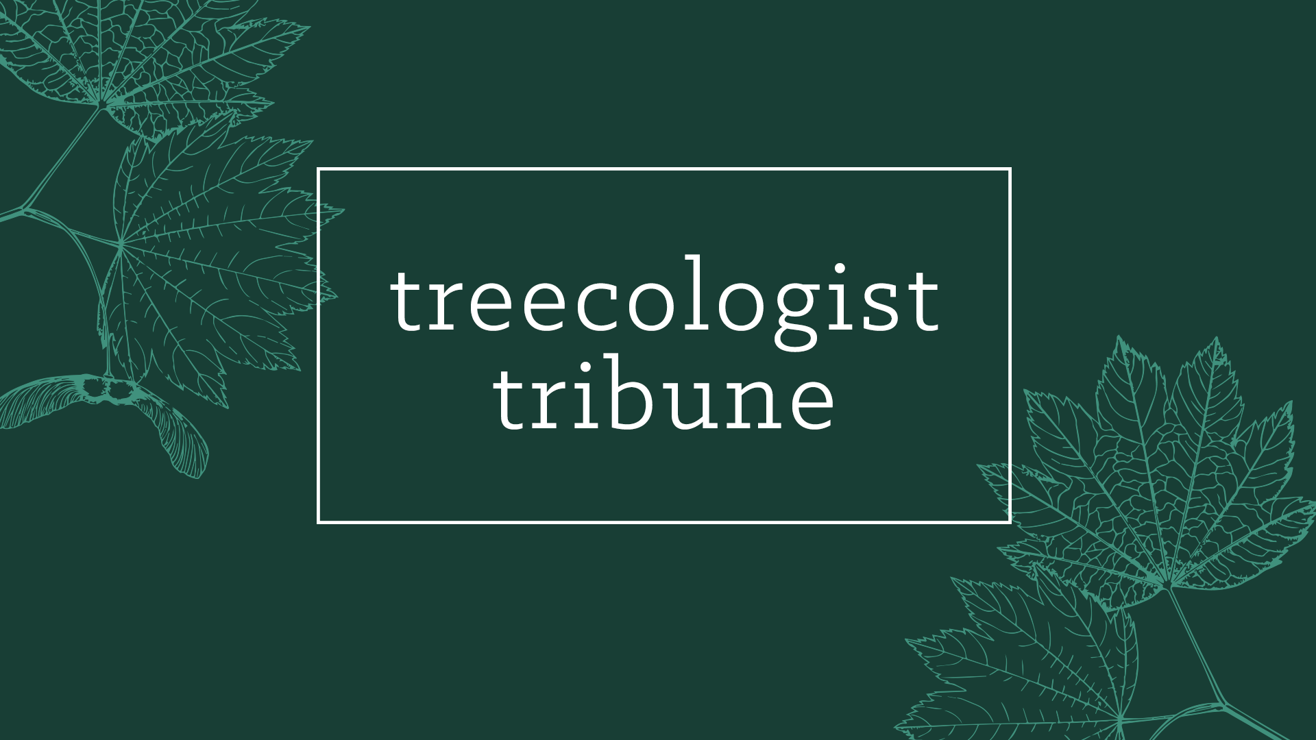 Treecologist Tribune header with lush green spring foliage.