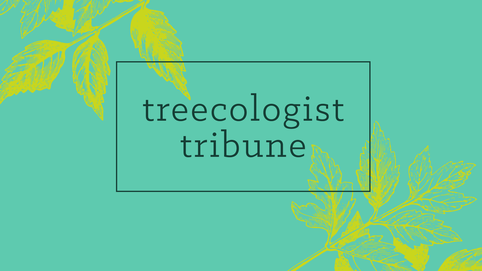 Treecologist Tribune header with evergreen and marine color theme.
