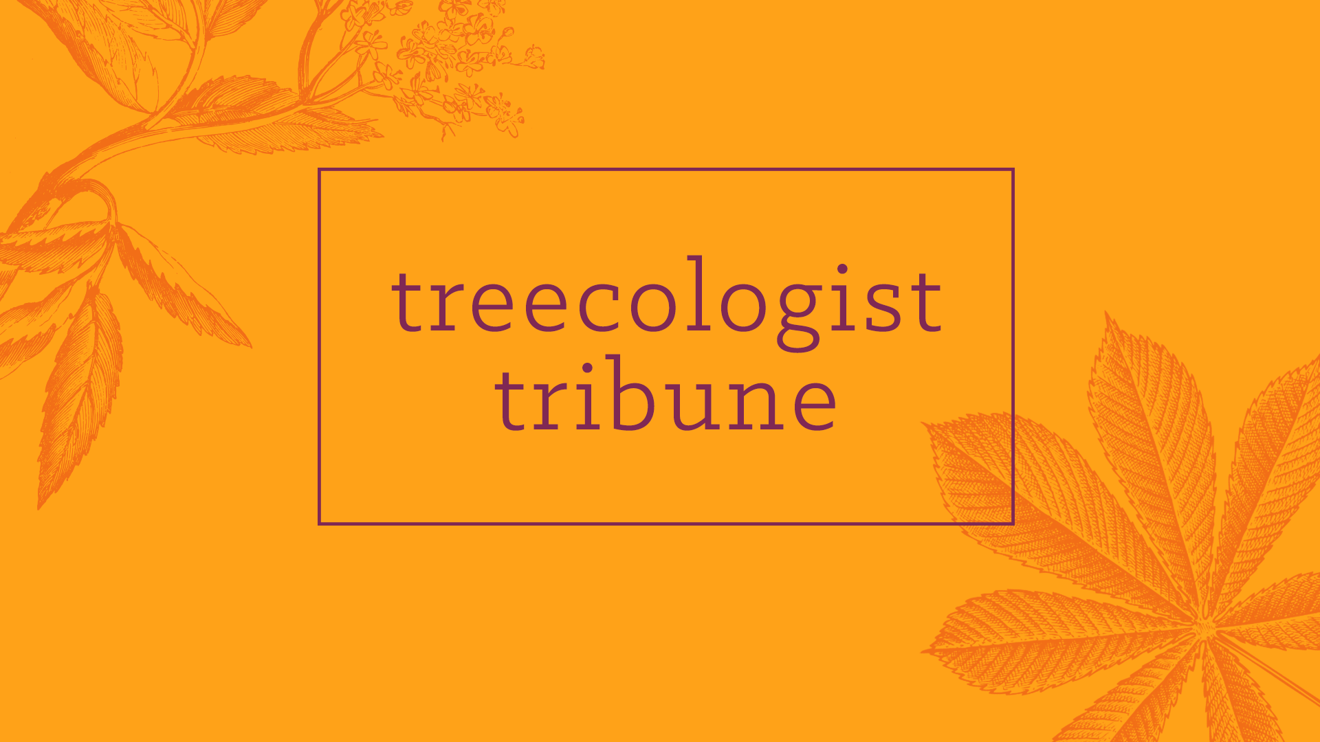 Treecologist Tribune newsletter header design
