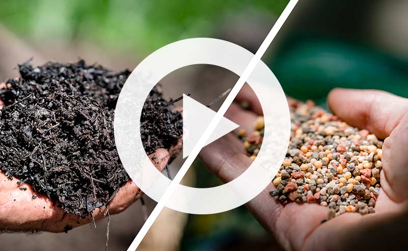 Healthy soil with organic fertilizer materials