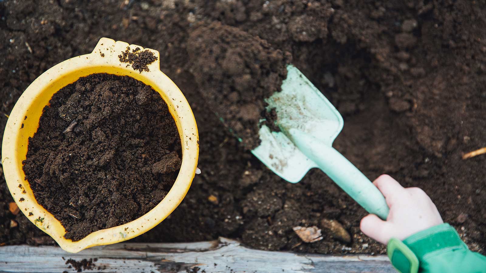 Compost and wood chips added to soil for healthy trees