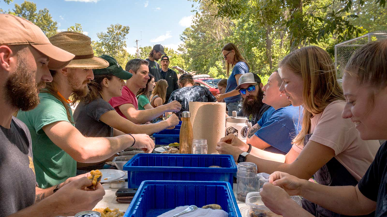 Volunteers sorting native tree seeds for Project Pando