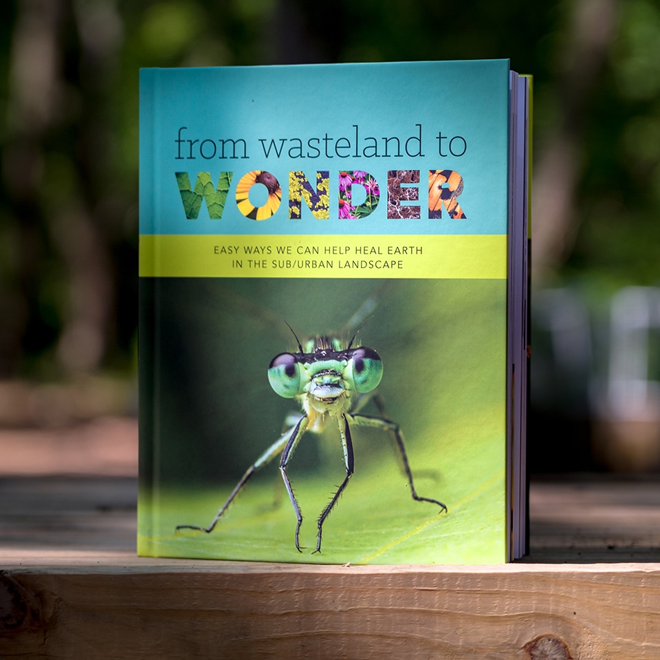 Basil released his bestselling book, <em>From Wasteland to Wonder!</em> It has been so popular that it is already in its second edition!