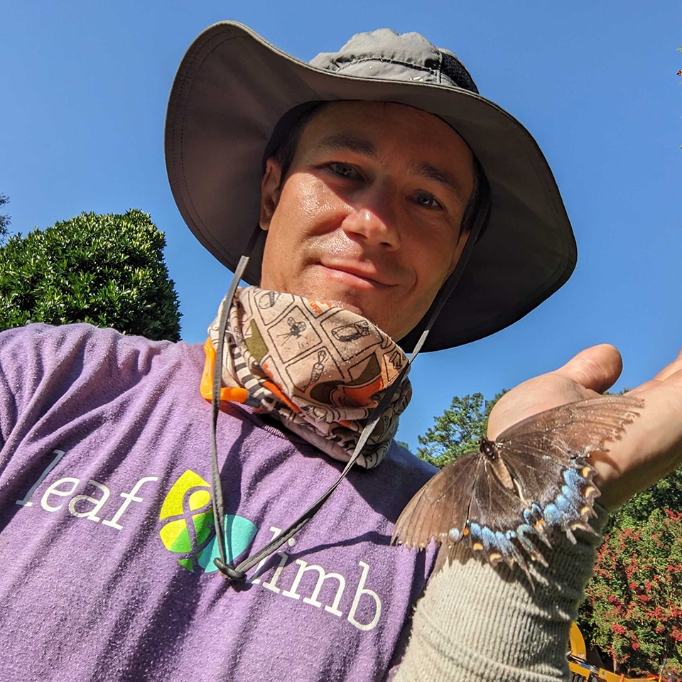 John had a lucky encounter with an Eastern Tiger Swallowtail while working on site.