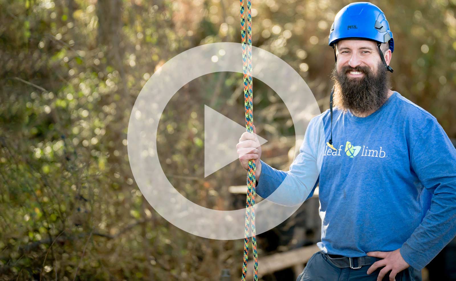 Arborist climbing a tree using ropes and safety gear.