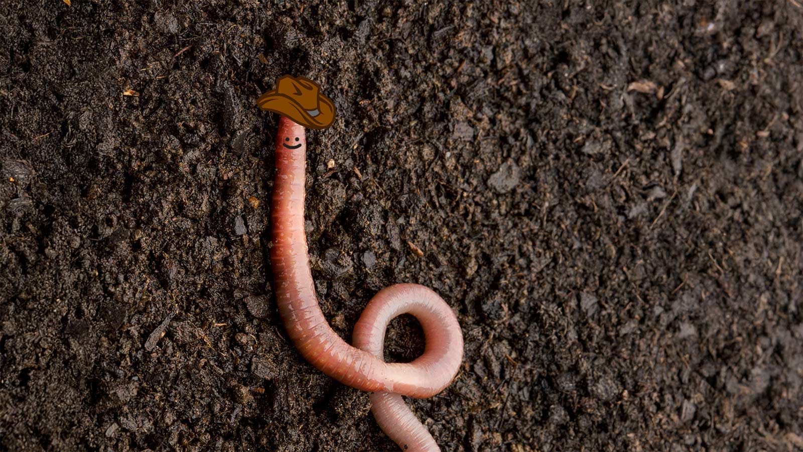 Ernie the Earthworm character promoting healthy soil biology