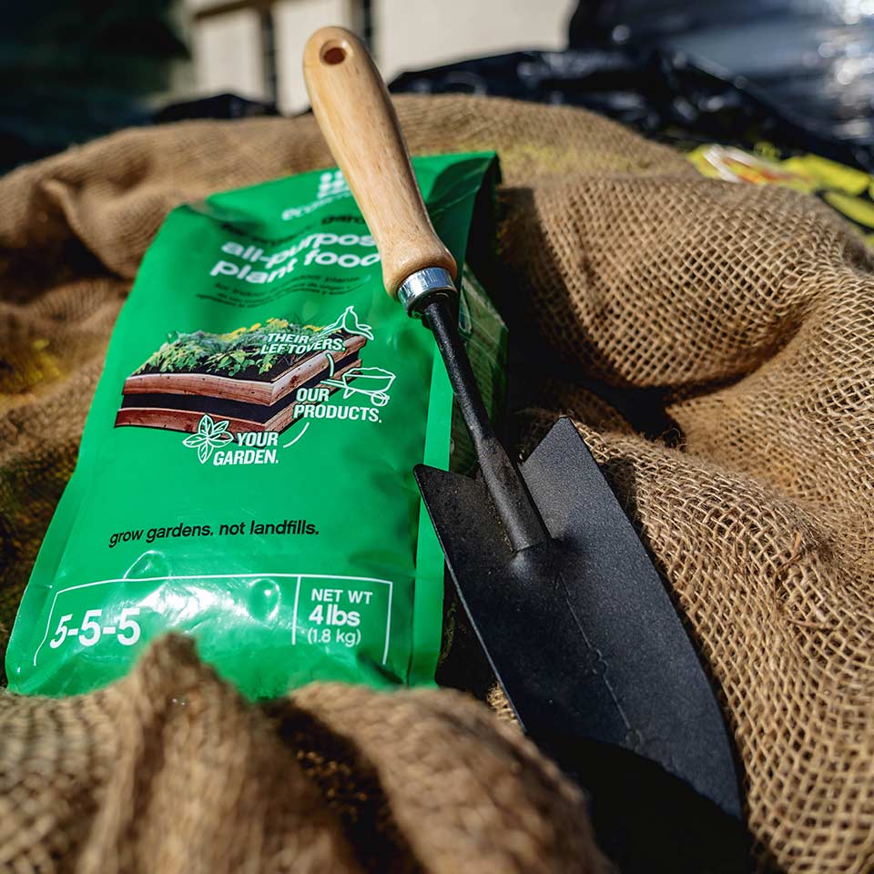 Square of healthy soil showing effects of organic matter