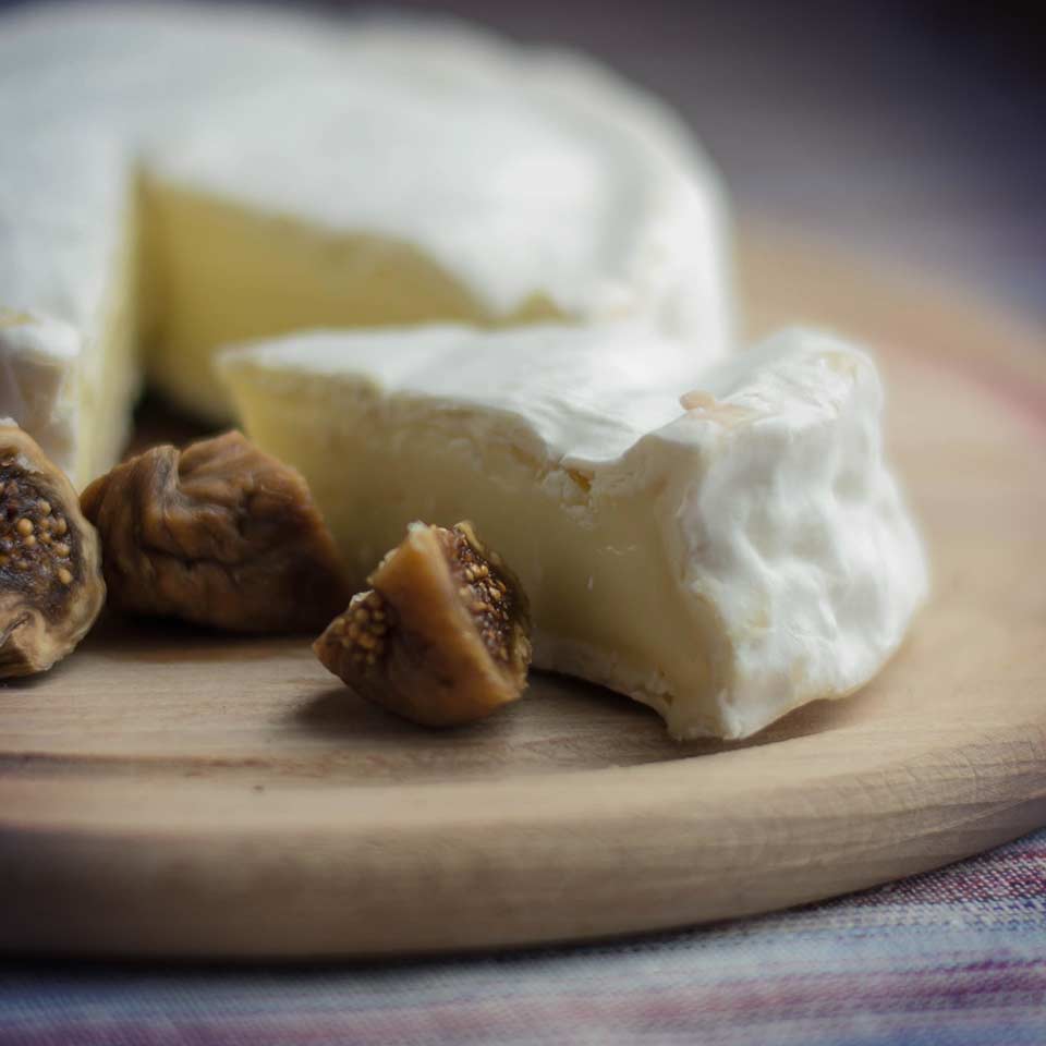 Cheese and bread made with fungi