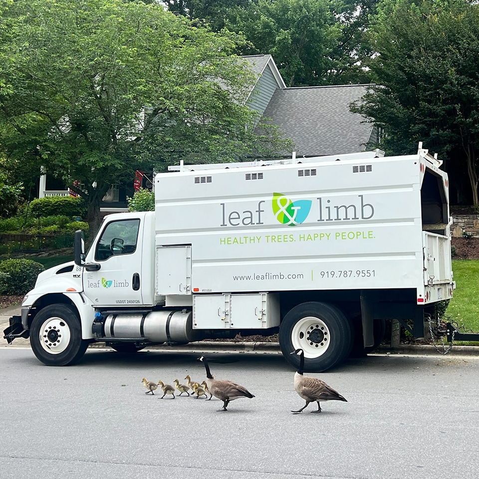 And hung out with the local wildlife (at a safe distance, of course).