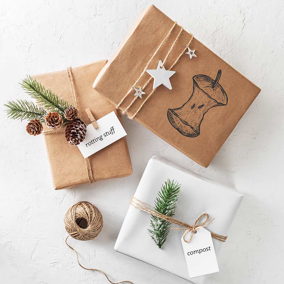 Compost tea for tree nutrition