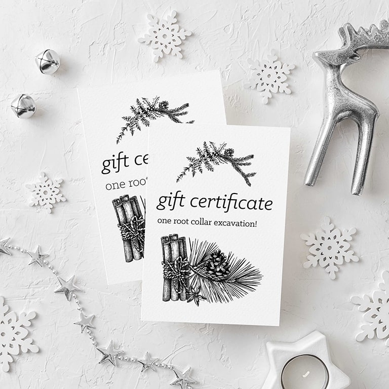 Root collar excavation for tree health