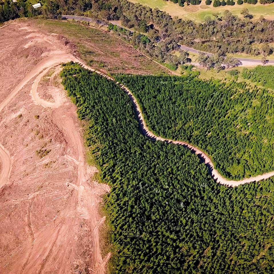 Aerial view of deforestation, showing a forest next to a clearcut area with soil stripped away