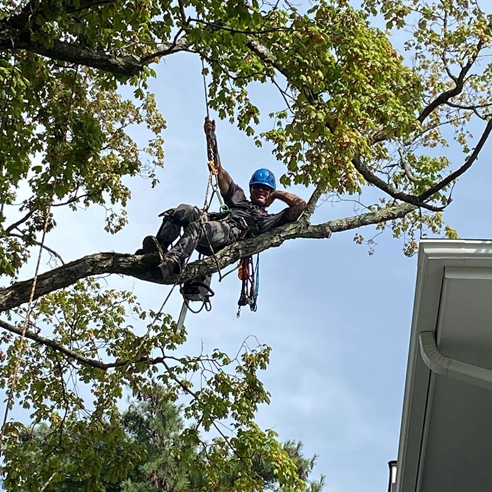 But we also took time for breaks and a little bit of fun.