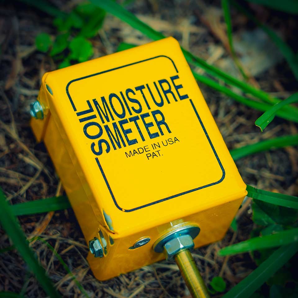 Moisture meter checking soil around tree