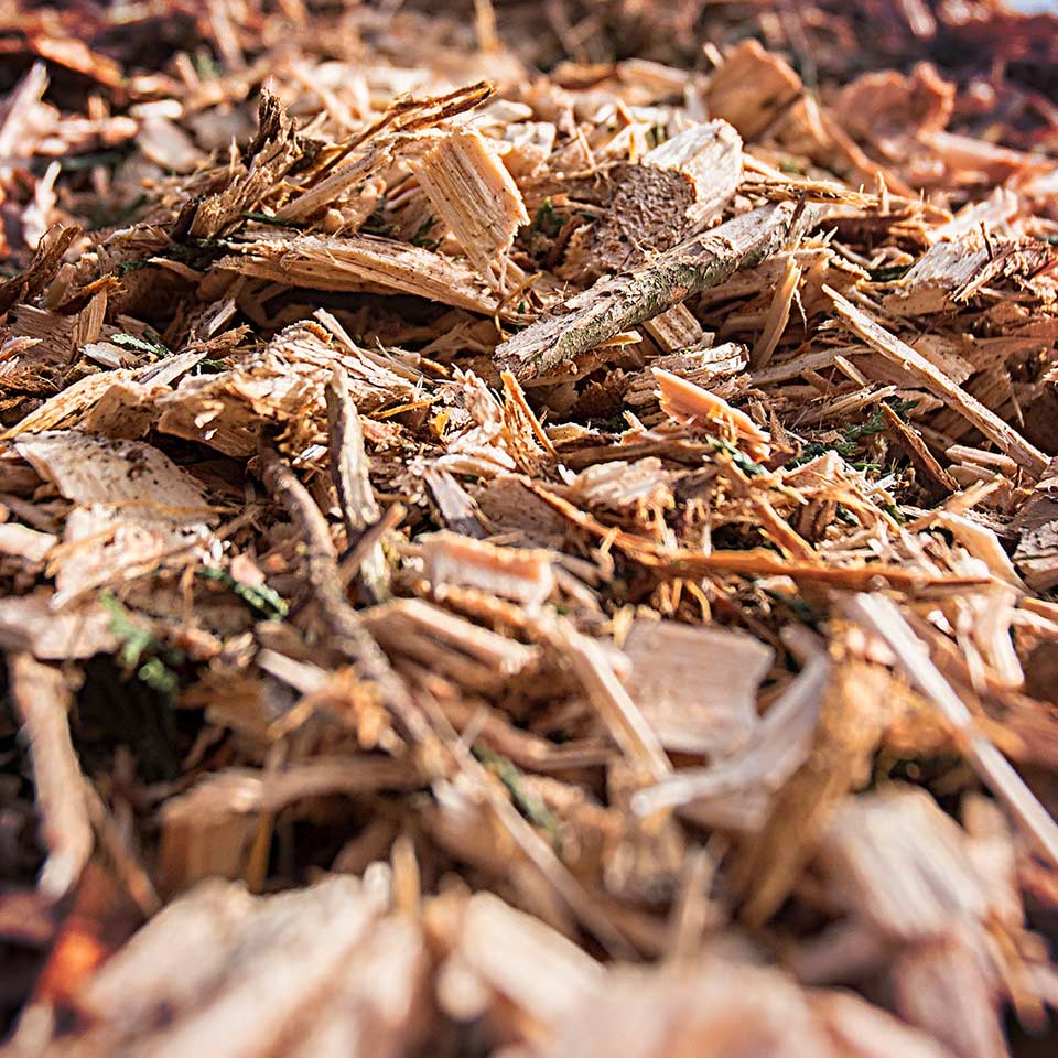 Woodchip mulch for soil health