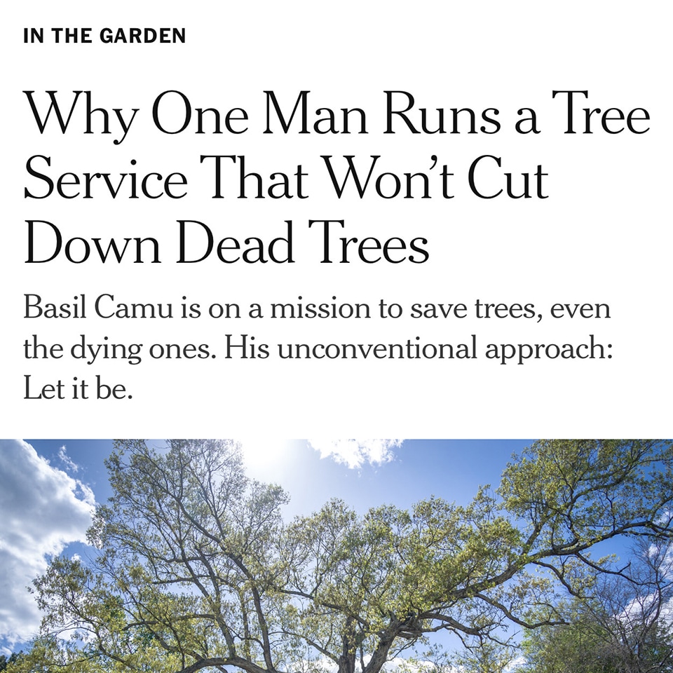 Basil and Leaf & Limb were featured in many news stories and podcasts this year, but the crowning jewel was making it to the front page of the <em>New York Times'</em> website.