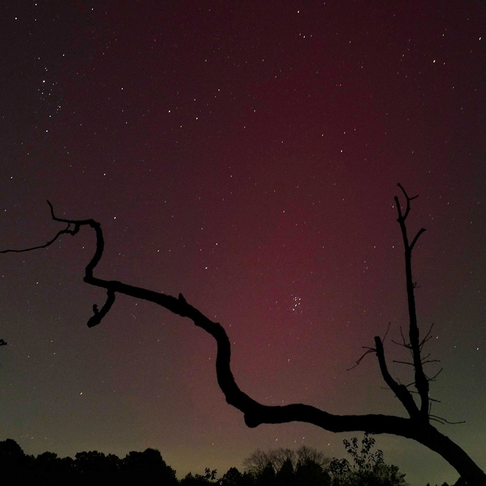 This year we got a special treat! We could see the Aurora Borealis light up the night sky at Pandoland!