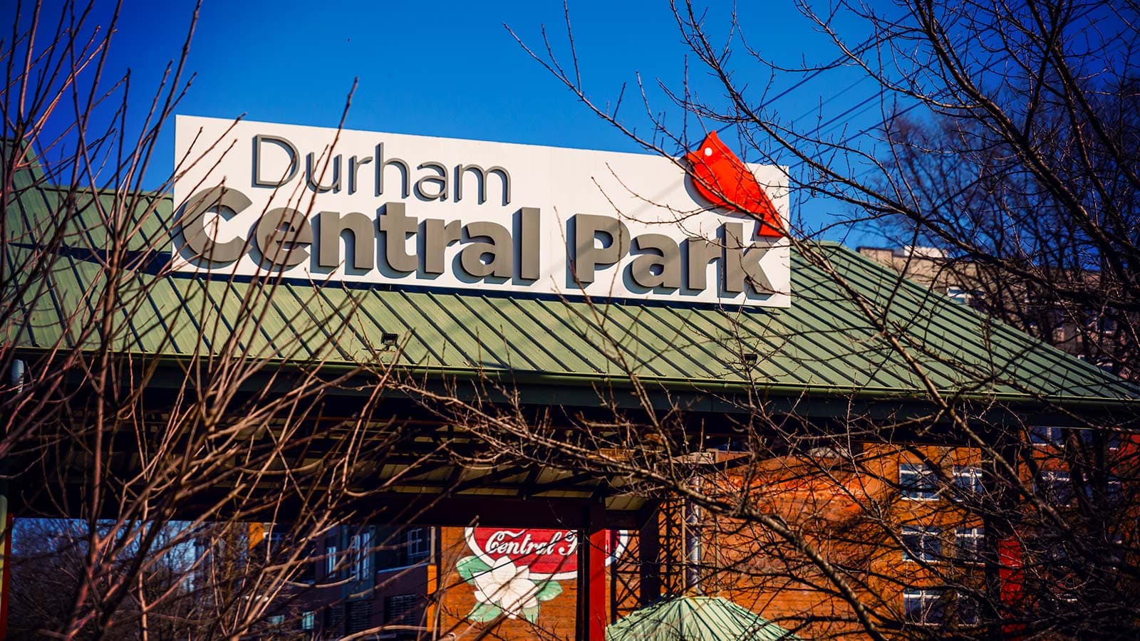 Leaf & Limb volunteers planting trees at Durham Central Park