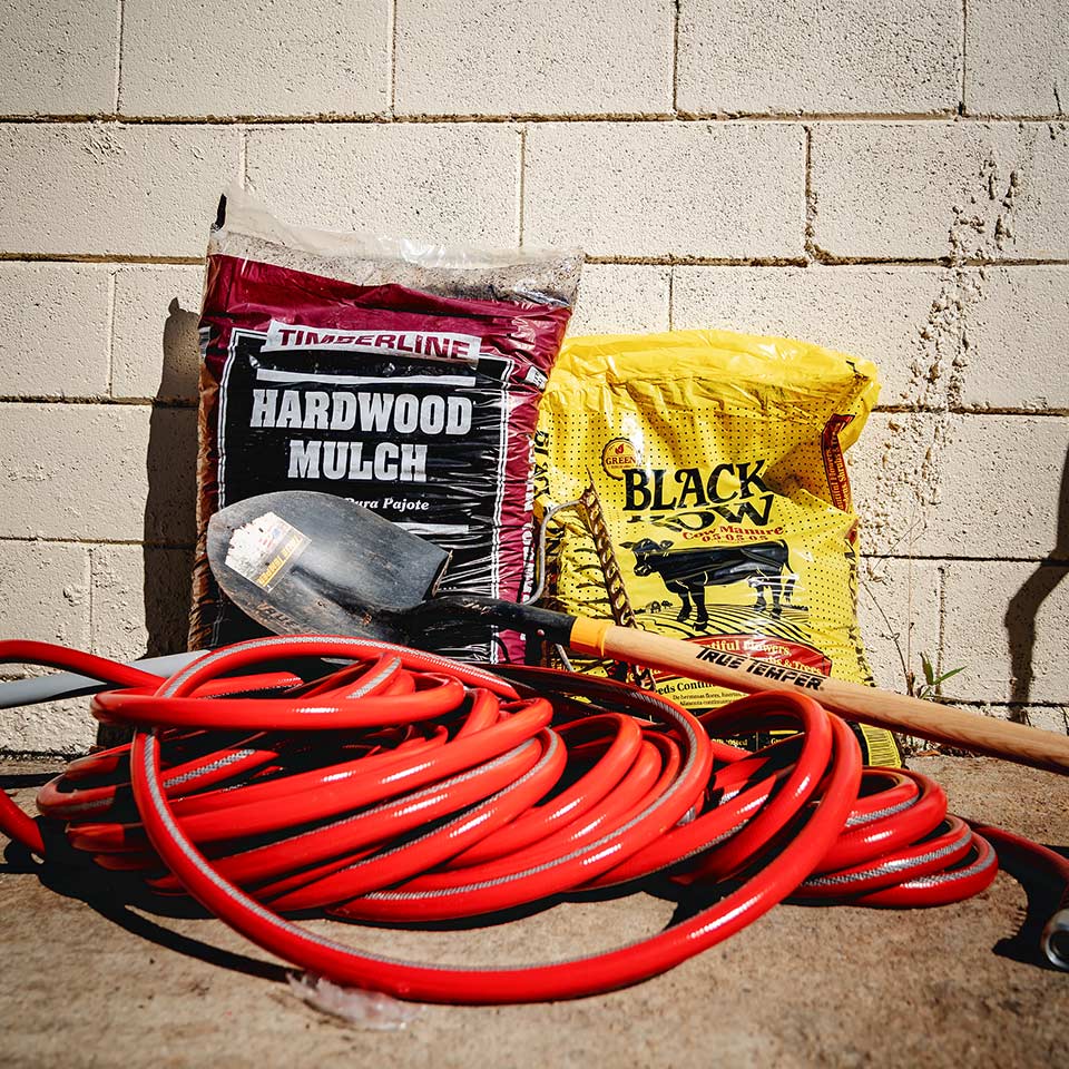 Newly planted tree in a square planting area