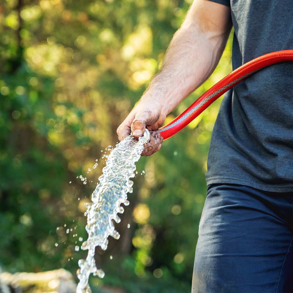 Watering newly planted tree