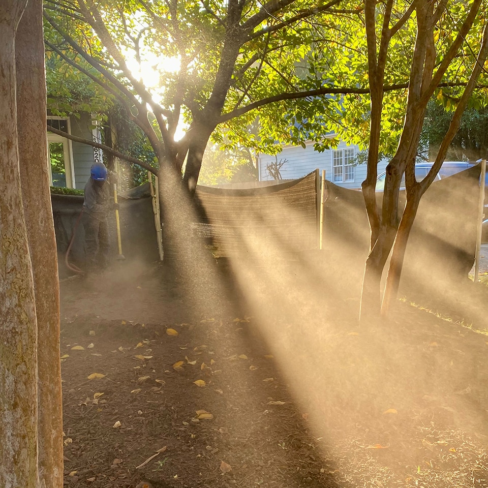 Which also looks beautiful from the right angle.