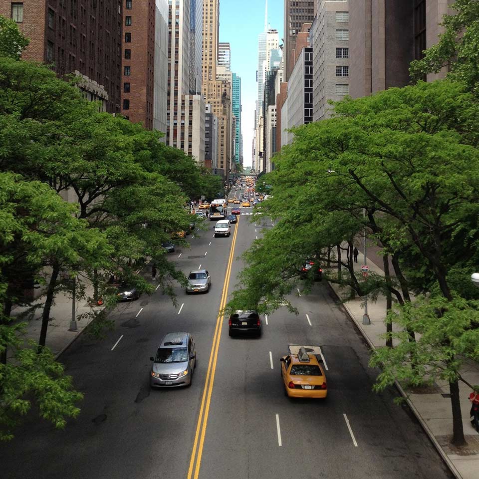 Tree-lined road, improving driving safety