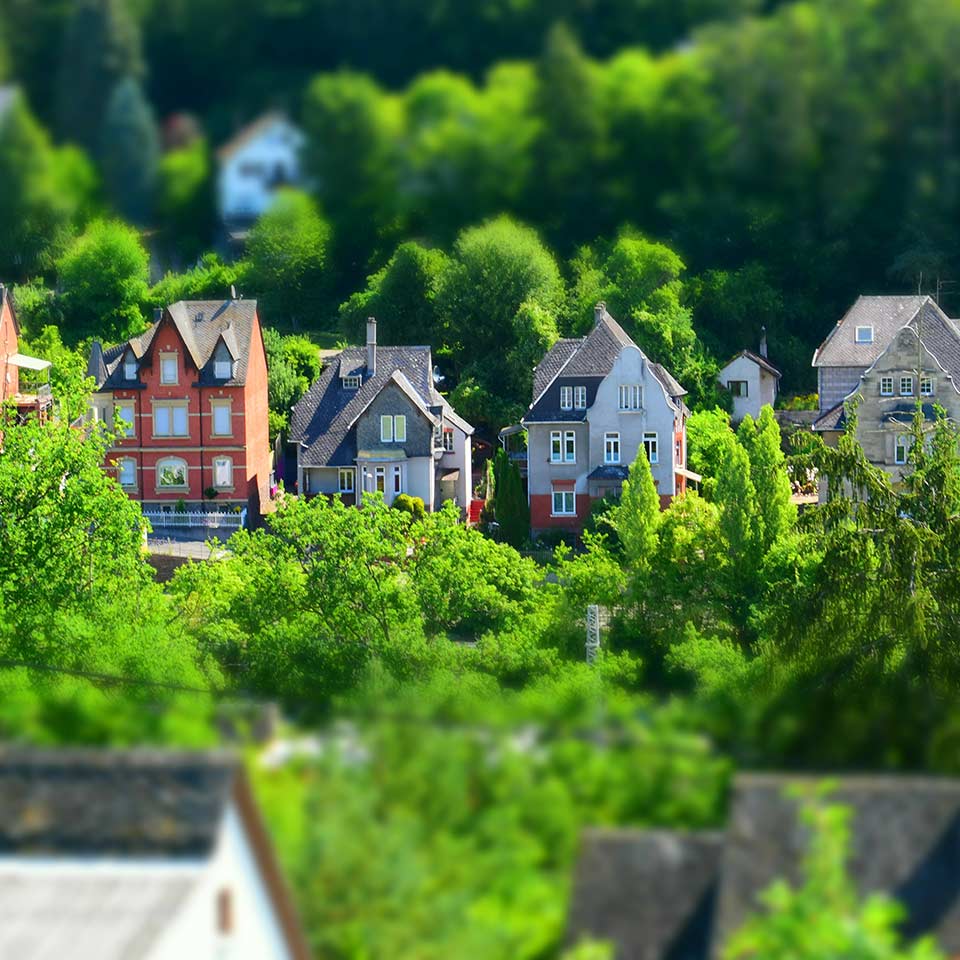 Neighborhood with trees, increasing property value