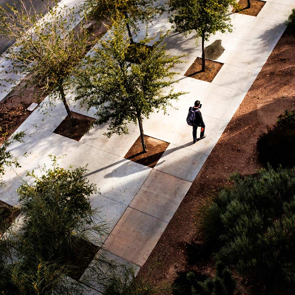 People walking under urban trees, lowering temperatures