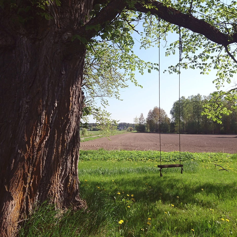 Measuring safe distance for tree swing installation