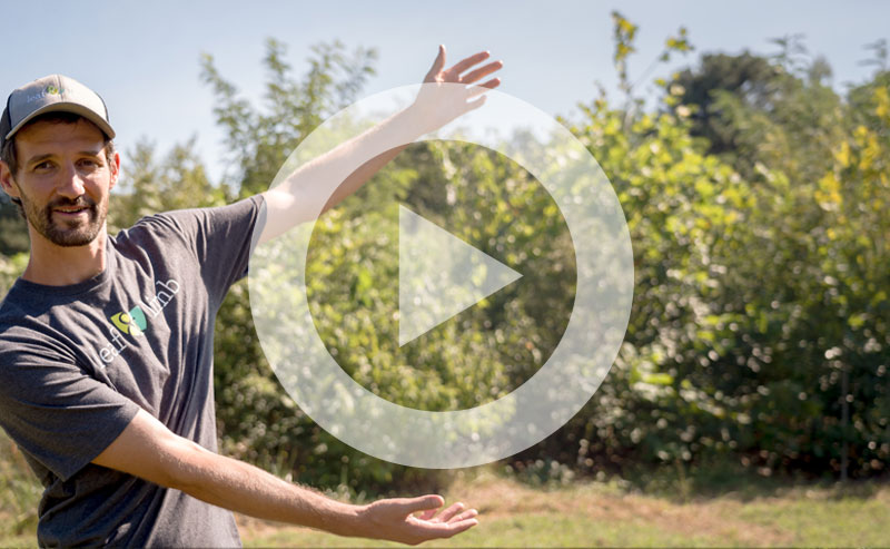 Project Pando community tree nursery with EB pointing to trees