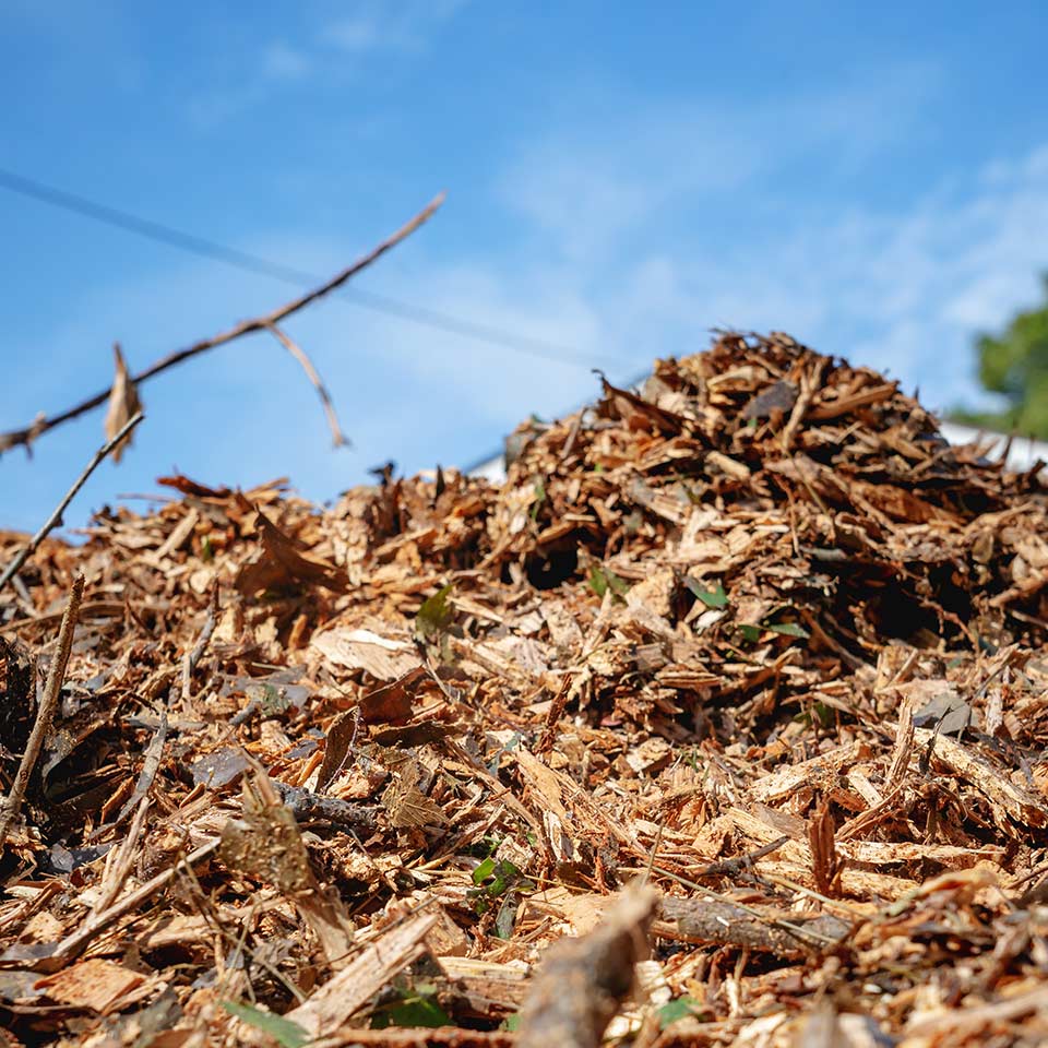 Free wood chips delivered for mulching