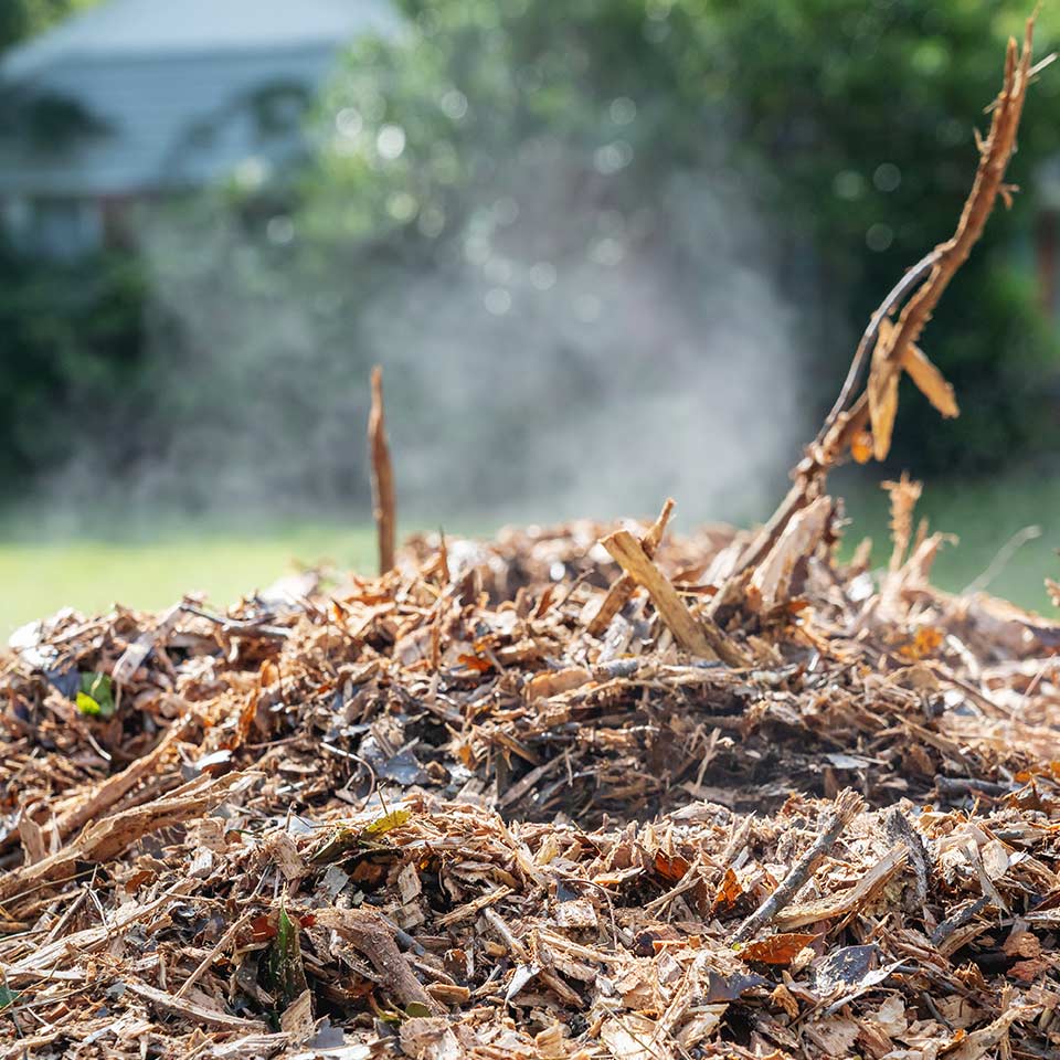 Wood chips regulating soil temperature