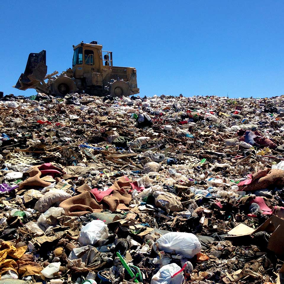 Wood chips reducing green waste in landfills