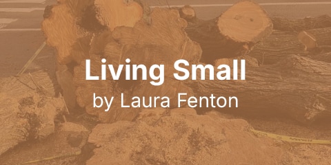 Living Small by Laura Fenton