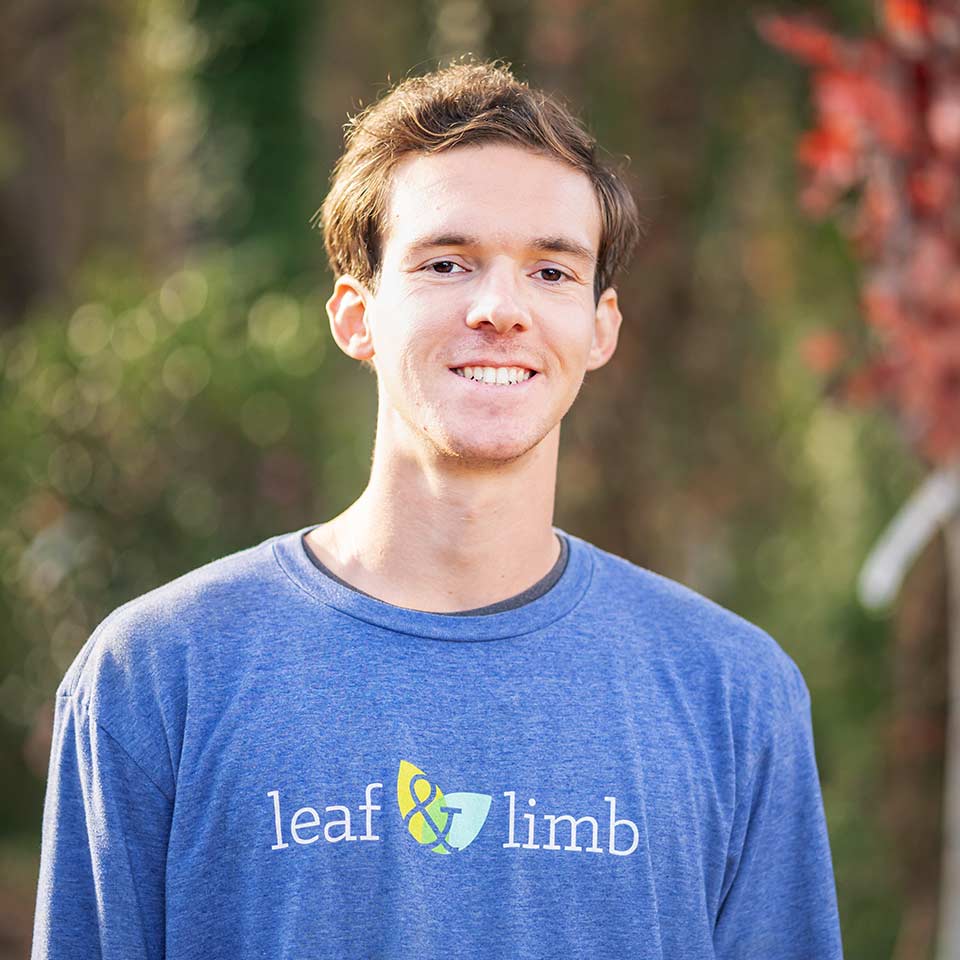 Leo Portrait at Leaf & Limb