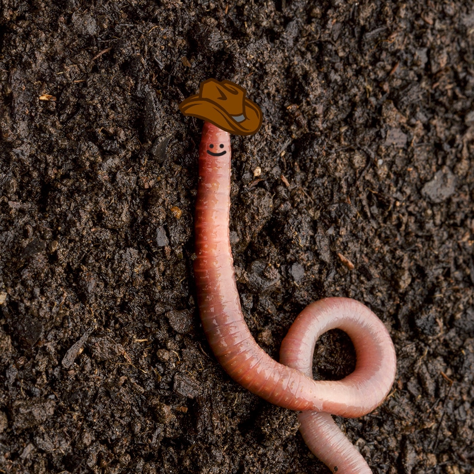 Ernie Portrait at Leaf & Limb